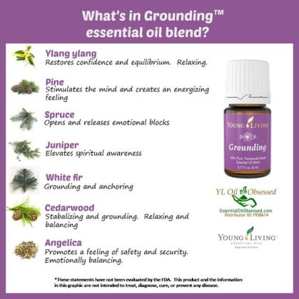 Grounding Ingredidents